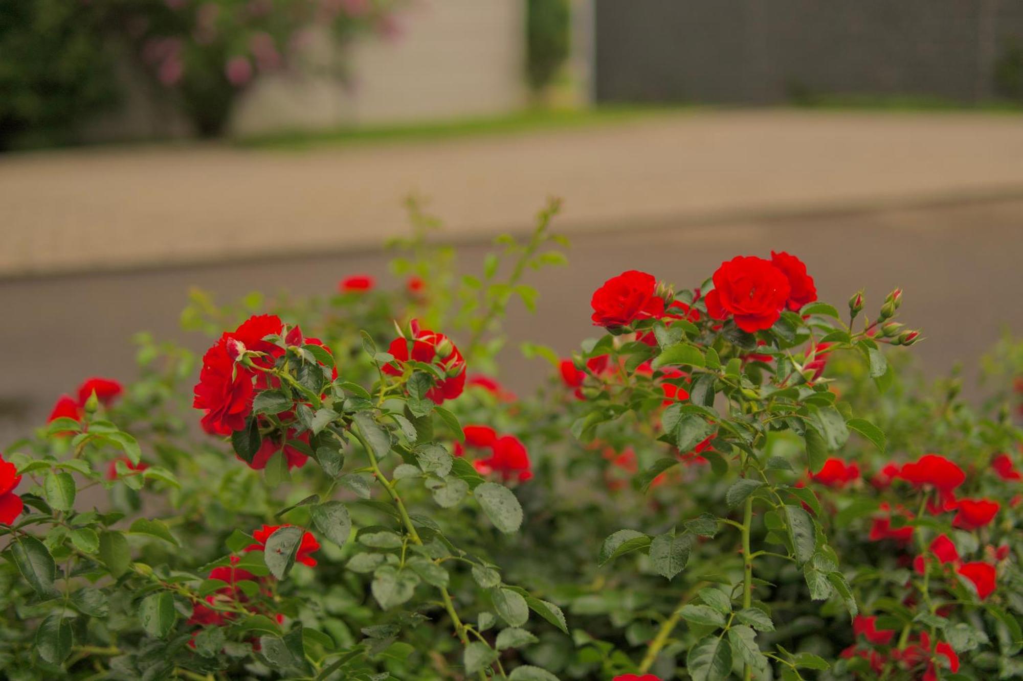 Bed & Breakfast Outlet Hotel Dettingen an der Erms Exterior foto